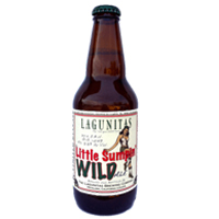 Lagunitas Little Sumpin