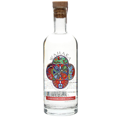 Wahaka-Joven-Madre-Cuishe